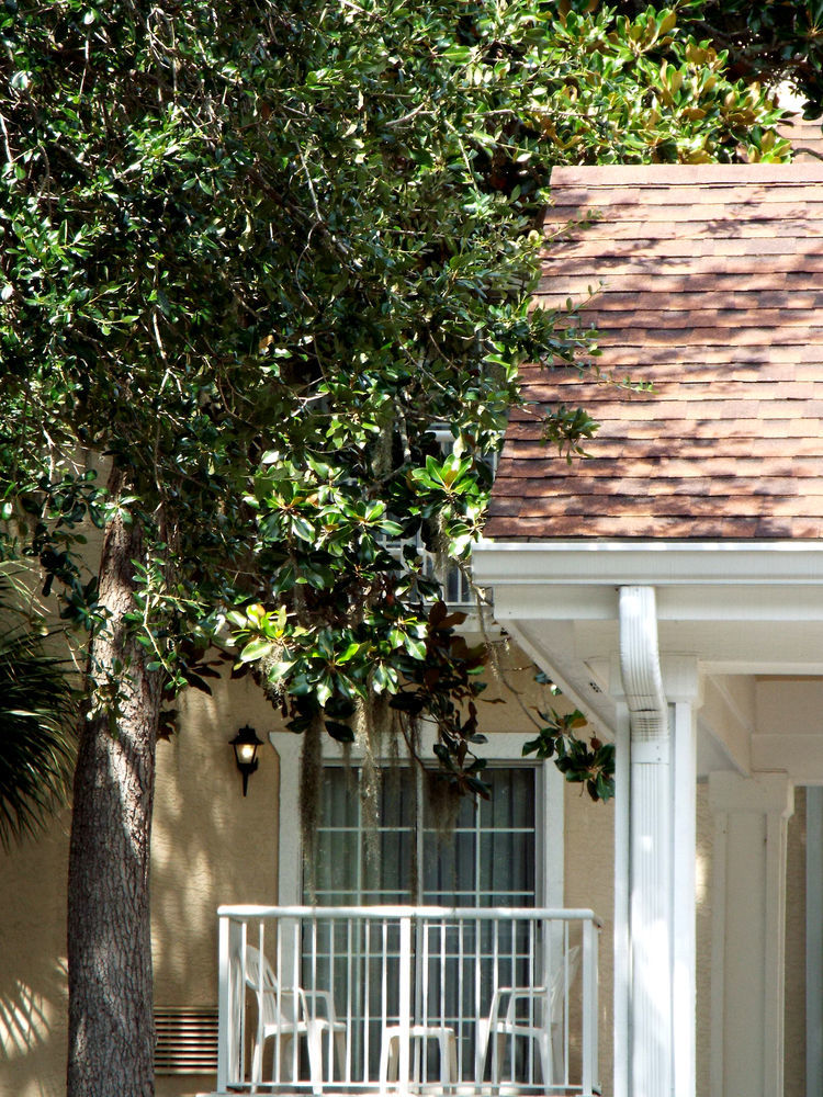 Palmera Inn&Suites Hilton Head Island Exterior foto